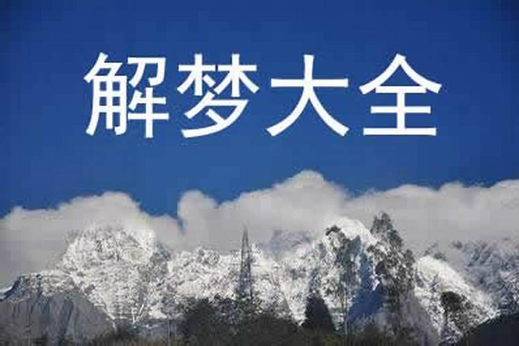 1986年金木水火土属什么