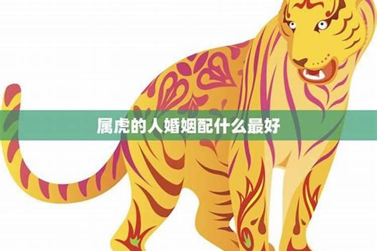 属虎女最合适的婚配属相,属虎女孩最佳配偶属相