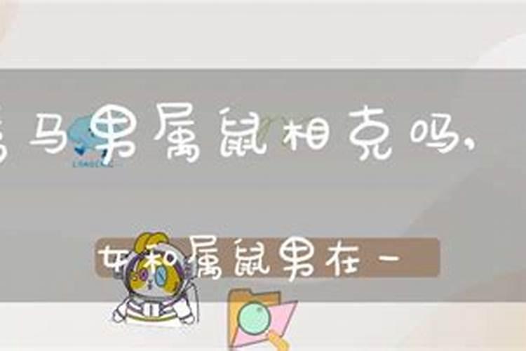 女属马和男属鼠配吗？属马的和属鼠的配吗？