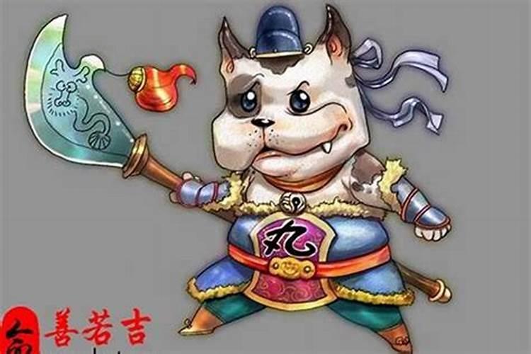 属狗戴什么最旺学业