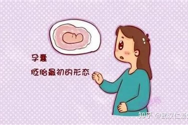 2025年属什么生肖2025年属哪个生肖