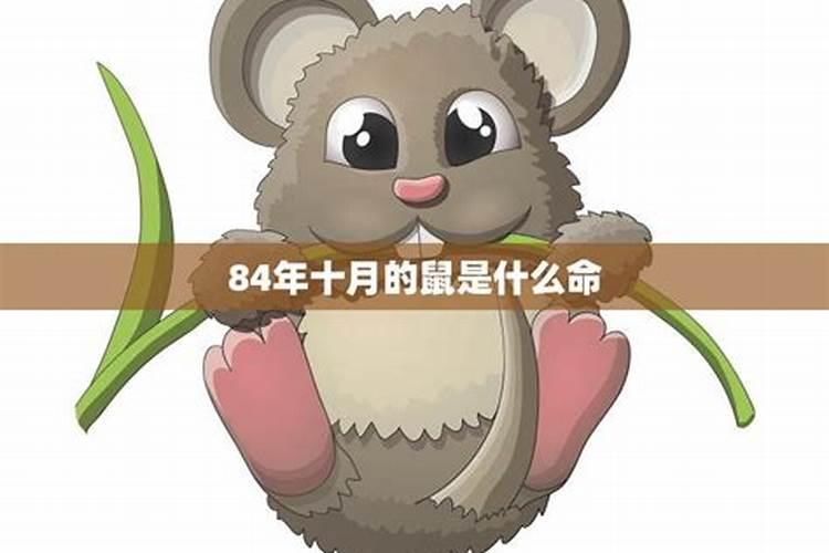 本命年虎年要穿红色吗？