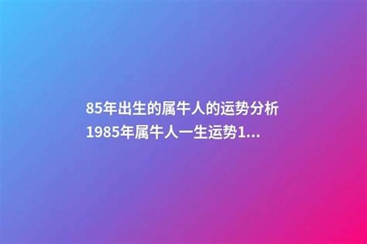 85年属牛的财位在哪个方向 运势如何？