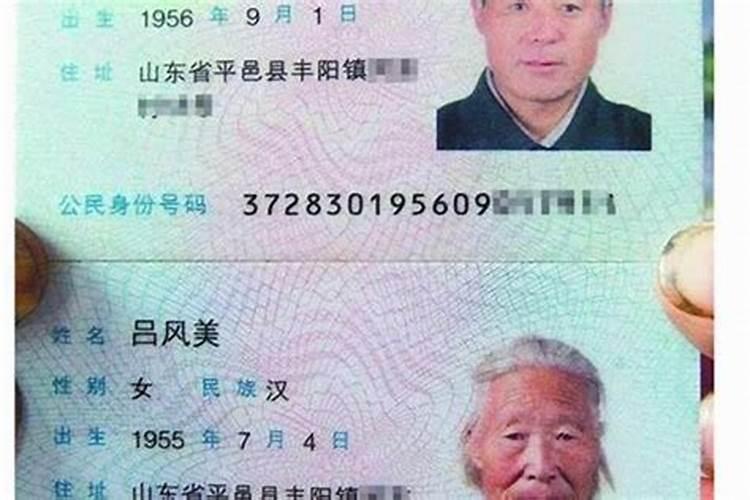 2025年属什么生肖2025年属哪个生肖