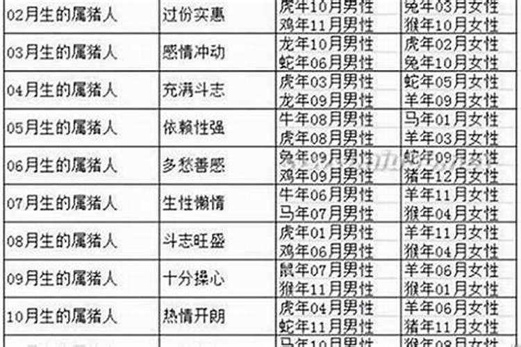 八字合婚:属兔和属猪的合财吗 婚配好不好呢
