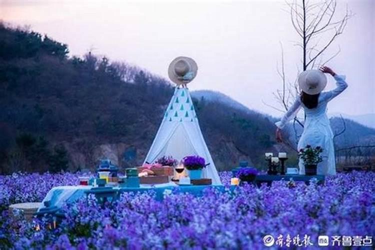 济南清明节有什么好玩的地方