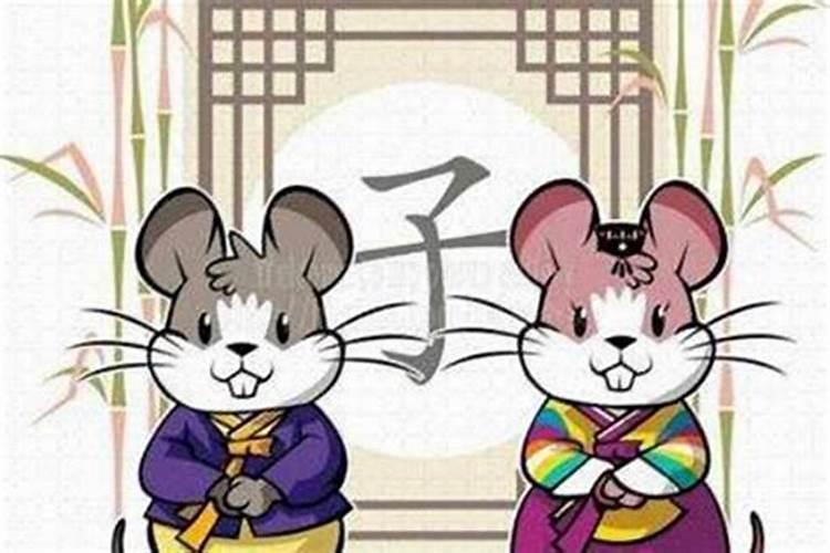 八字婚姻:属鼠和属猪的八字相合吗 结婚好不好？
