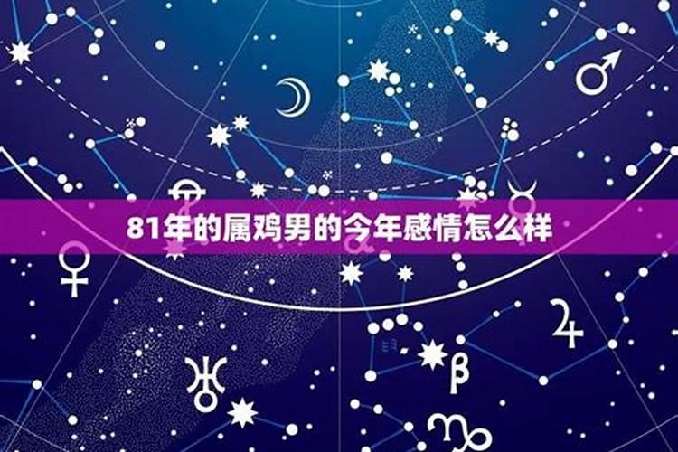 1981年属鸡的男人2025年运势如何