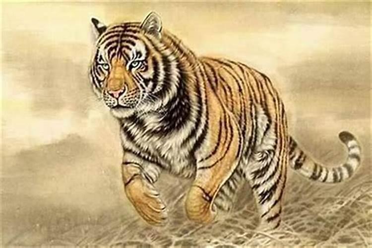 2003年农历十月初一生的孩子星座是