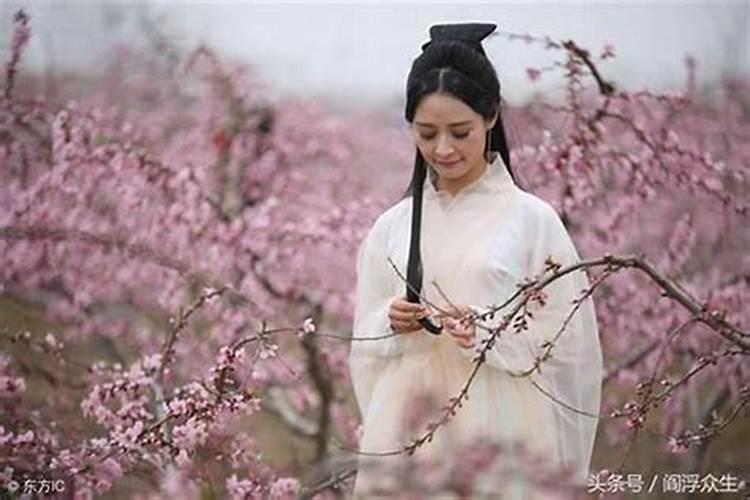 湖南长沙的芯片行业环境如何？