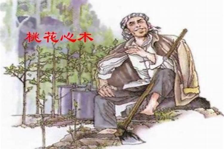 1972年生肖属鼠人的命运资料详情