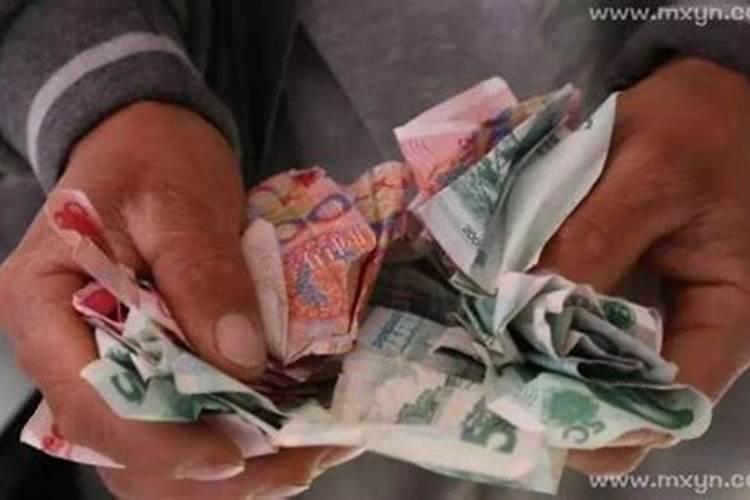 冬至吃什么养生多吃补气食物