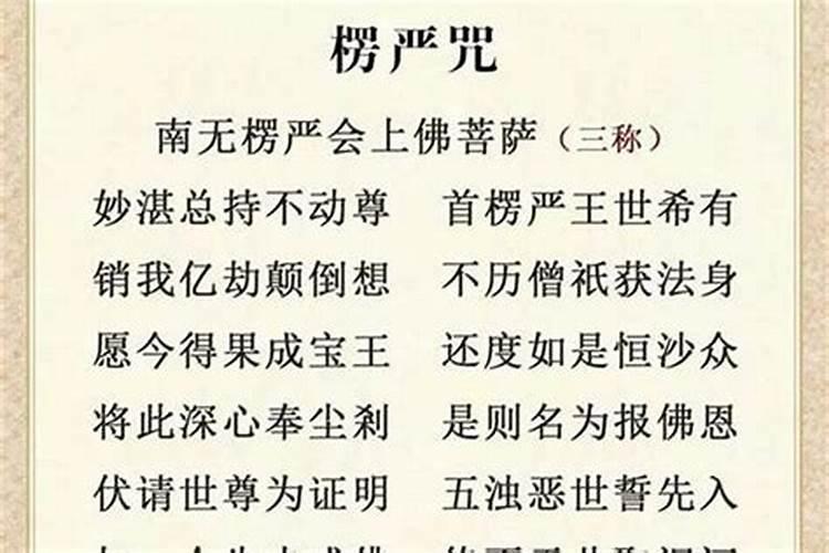 生肖鼠1996年2025年运势如何生肖鼠1996年2025年全年运势