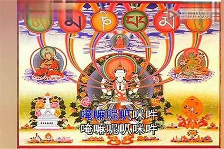 何为正印格,入命好不好？
