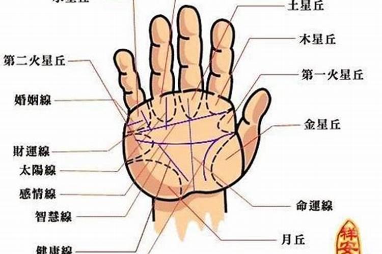 一条线从生命线直接指向小指