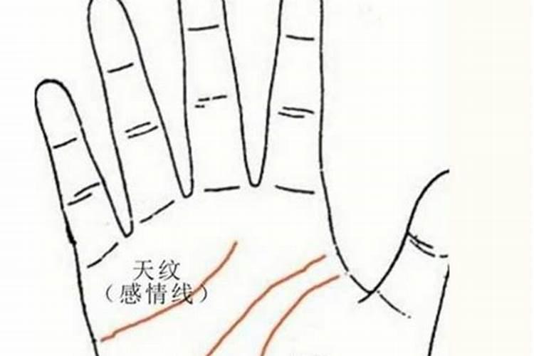 手掌上哪条线是生命线？