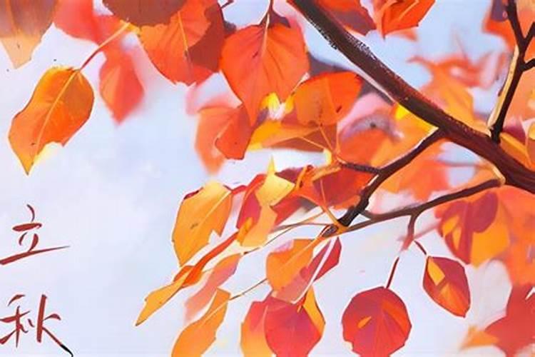 立秋这一天吃什么饭最有讲究