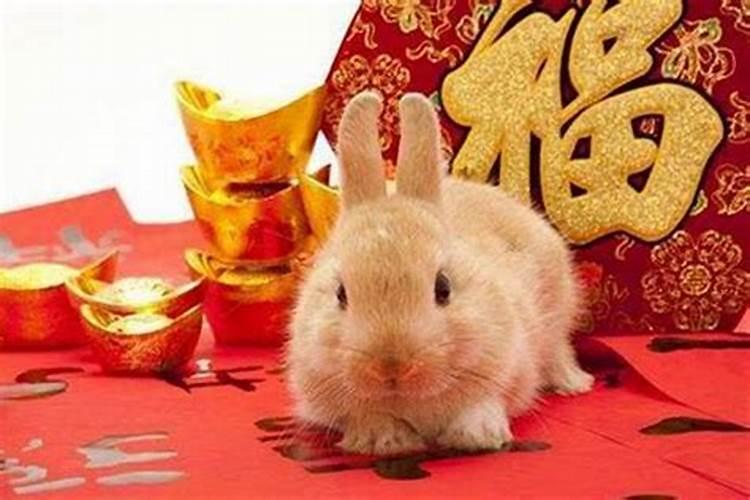 小年南和小年北是什么意思 小年南和小年北介绍