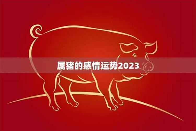 生肖猪2025年运势 属猪2025年运势及运程