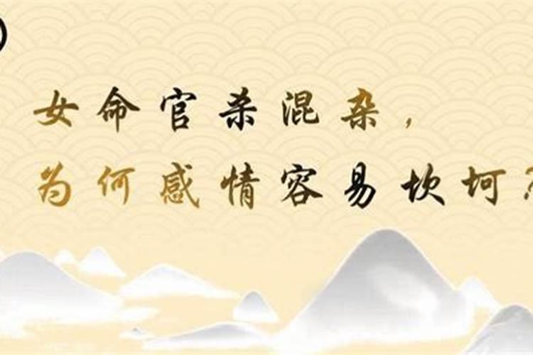 官杀混杂的女命 解析