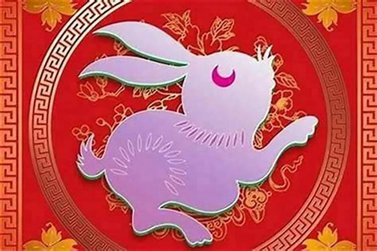 属兔的2025年运势