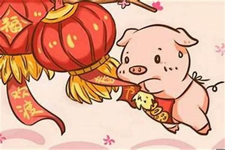 男属鸡女属猪的婚姻相配吗