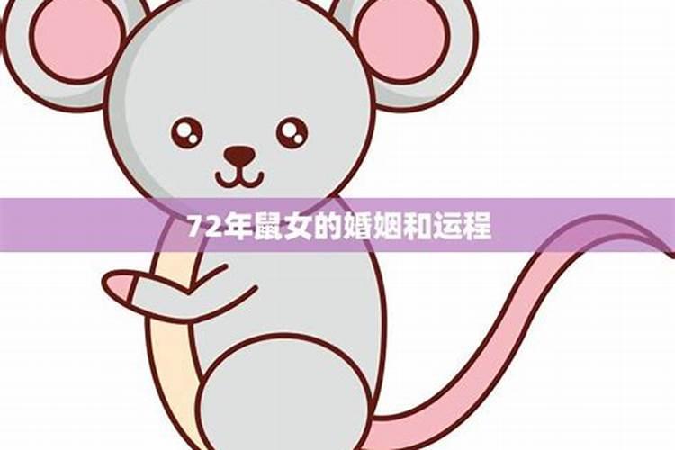 1984年鼠女2025年运势完整版