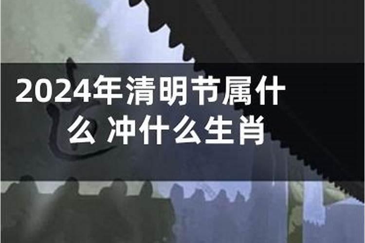 清明节打一正确生肖