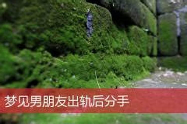 梦见男朋友有外遇和我分手的预兆