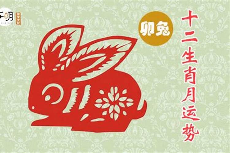 87年正月初五出生属兔今年运程