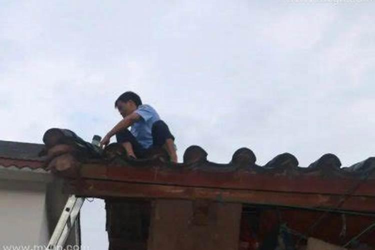 梦到修补房顶意味着什么梦见修补房顶是什么意思