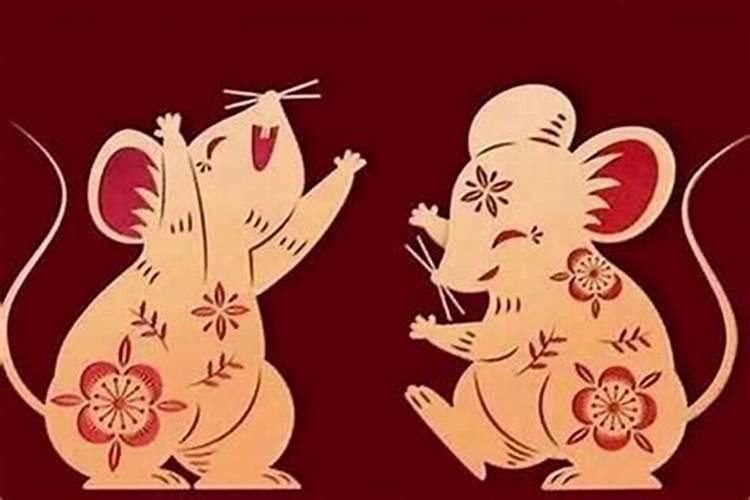 狗与鼠属相婚配好吗,属相狗和属狗的合婚好吗？