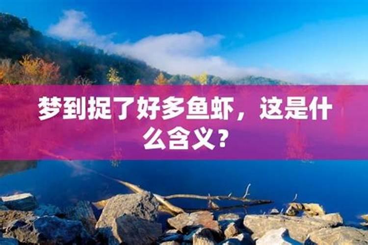 梦见看到水中有很多鱼和虾的预兆