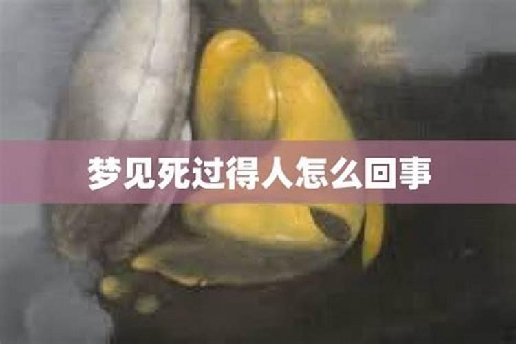 养宠物风水五行你适合养什么？