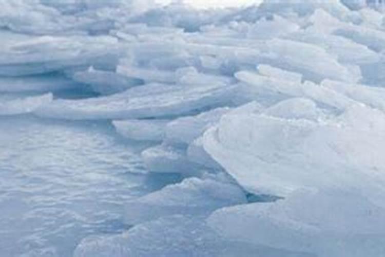 我梦见海水泥变成大海龟什么意思