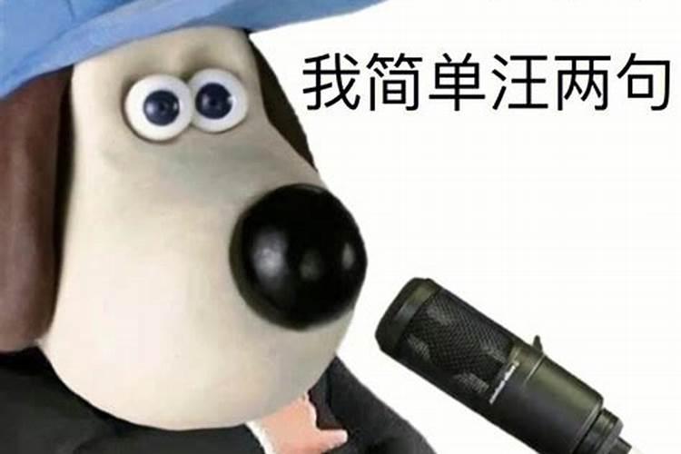 梦见有条狗很听自己的话的预兆