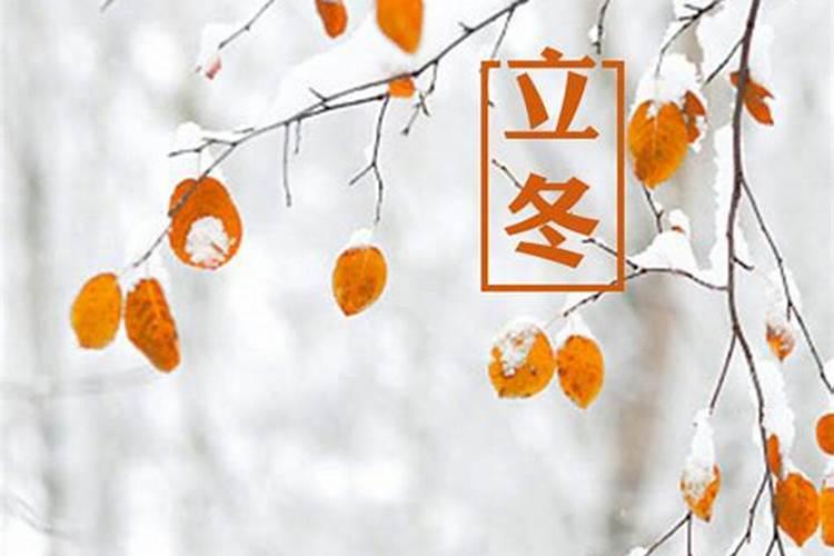 福州立冬吃什么