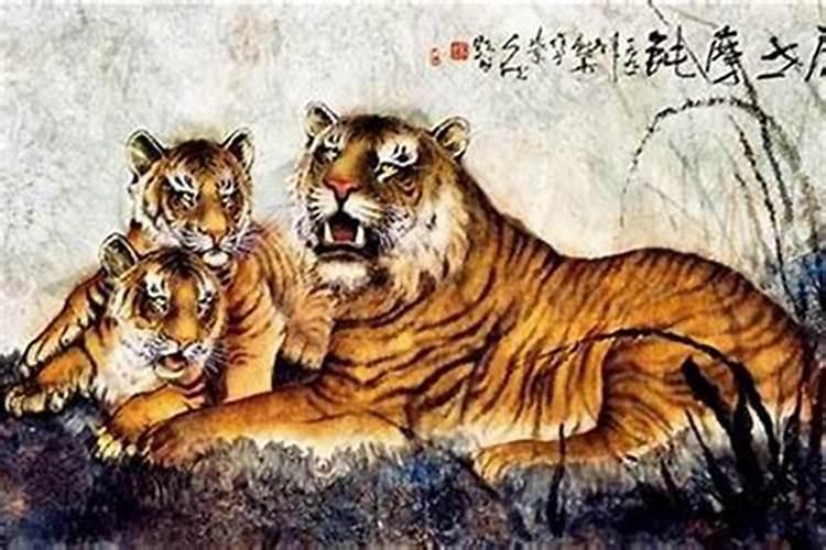 梦到朋友出车祸了预示什么