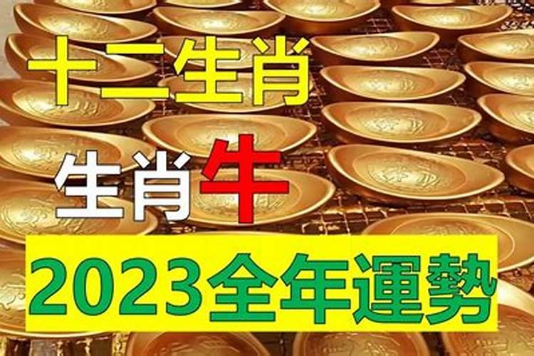 属牛的人2025年的命运