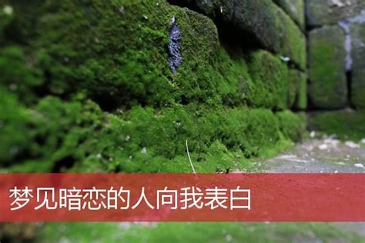 梦见跟别人表白被拒绝的预兆