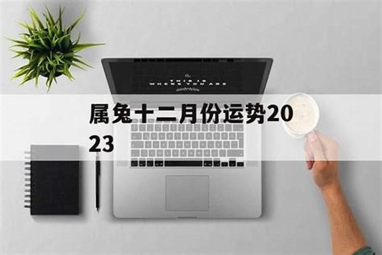 2025属兔人全年12个月运势如何