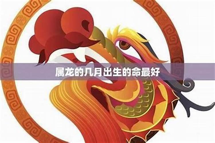 1988年属龙在2024年怎么样
