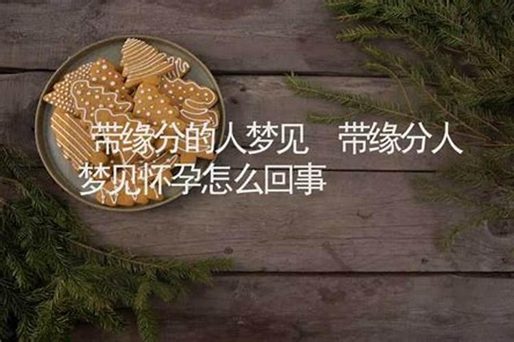 梦见会说话的乌龟是什么意思？