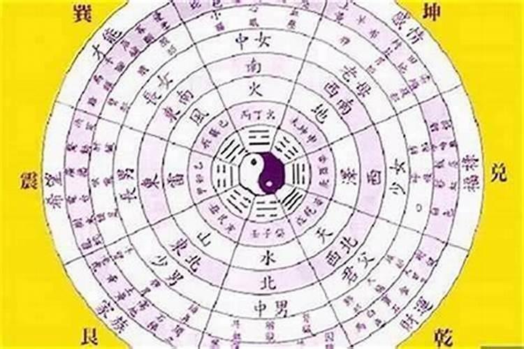阴历1994.3.15早上八点左右出生是什么命