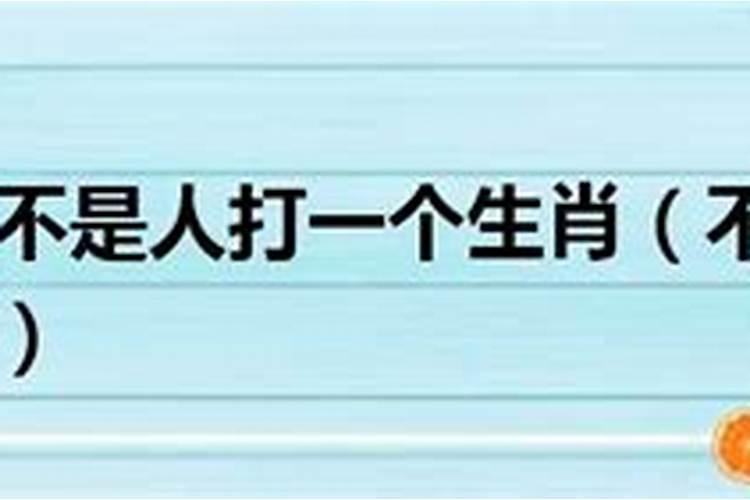 端午节的来历和风俗资料