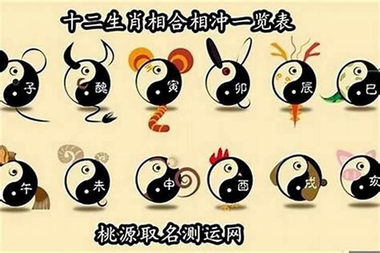 虎年出生和兔年出生结合好不好