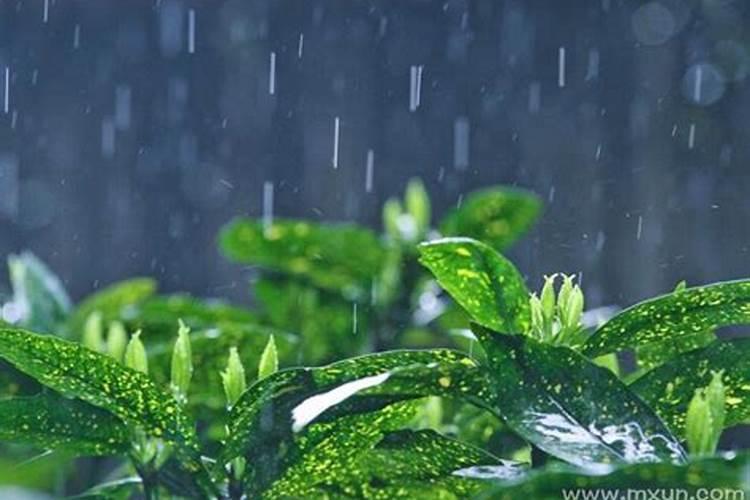 梦见狂风暴雨发大水是什么征兆