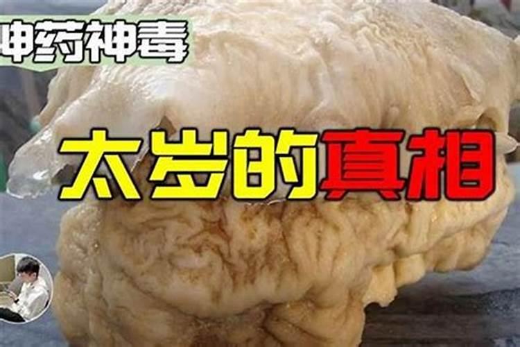 属牛的人2025年的命运