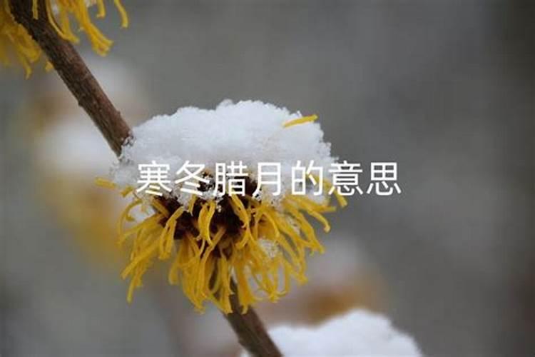 梦见老同学聚餐的预兆