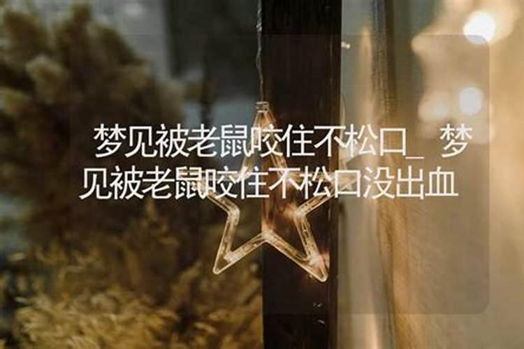 梦见被老鼠咬住双手的预兆